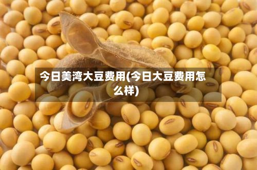今日美湾大豆费用(今日大豆费用怎么样)-第2张图片