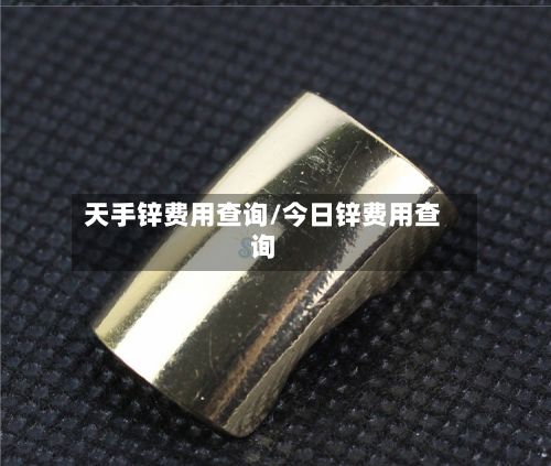 天手锌费用查询/今日锌费用查询