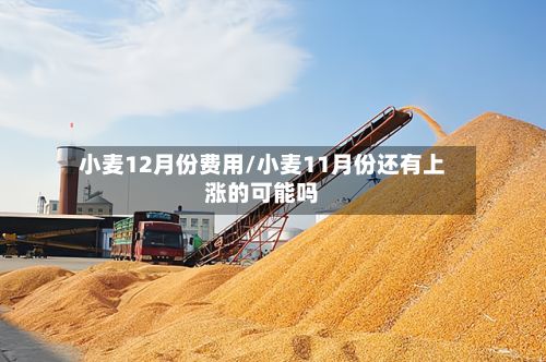 小麦12月份费用/小麦11月份还有上涨的可能吗-第2张图片