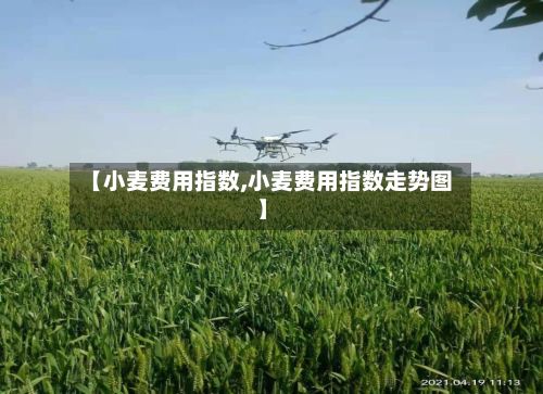【小麦费用指数,小麦费用指数走势图】-第3张图片