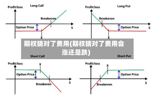 期权猜对了费用(期权猜对了费用会涨还是跌)-第2张图片