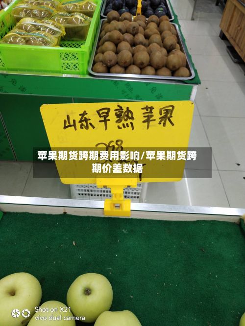 苹果期货跨期费用影响/苹果期货跨期价差数据