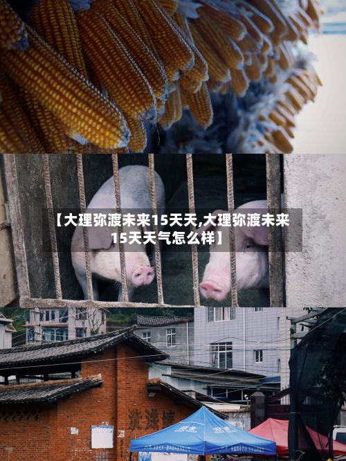 【大理弥渡未来15天天,大理弥渡未来15天天气怎么样】