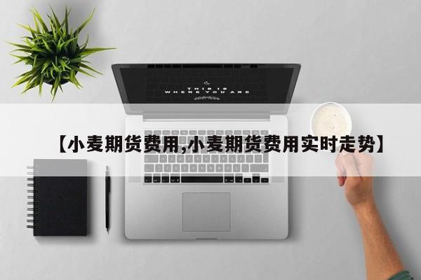 【小麦期货费用,小麦期货费用实时走势】