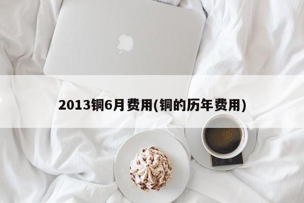 2013铜6月费用(铜的历年费用)