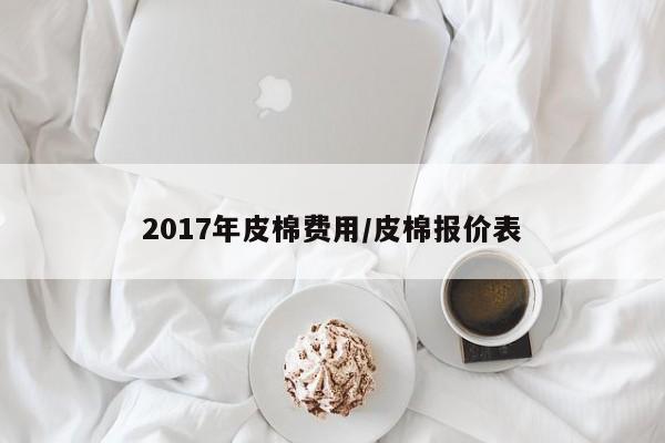 2017年皮棉费用/皮棉报价表