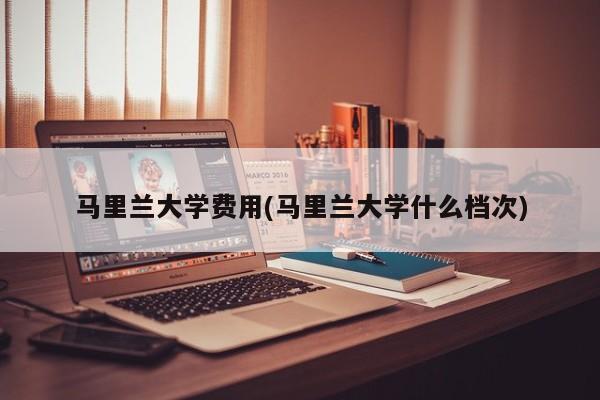 马里兰大学费用(马里兰大学什么档次)