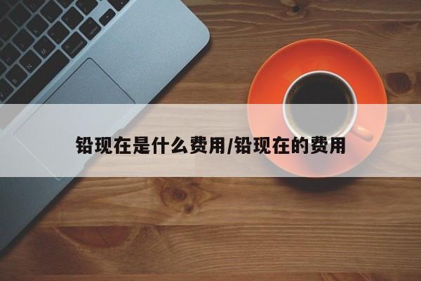 铅现在是什么费用/铅现在的费用