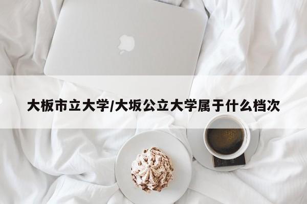 大板市立大学/大坂公立大学属于什么档次