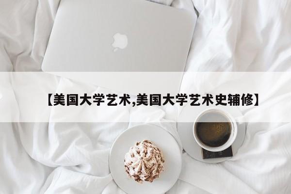 【美国大学艺术,美国大学艺术史辅修】