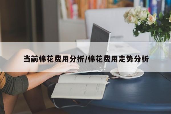 当前棉花费用分析/棉花费用走势分析