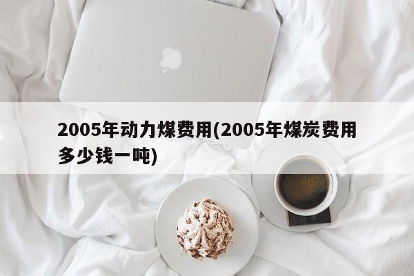 2005年动力煤费用(2005年煤炭费用多少钱一吨)