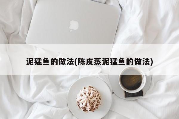 泥猛鱼的做法(陈皮蒸泥猛鱼的做法)