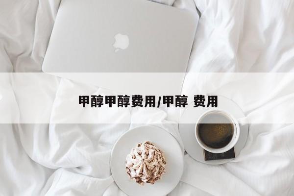 甲醇甲醇费用/甲醇 费用