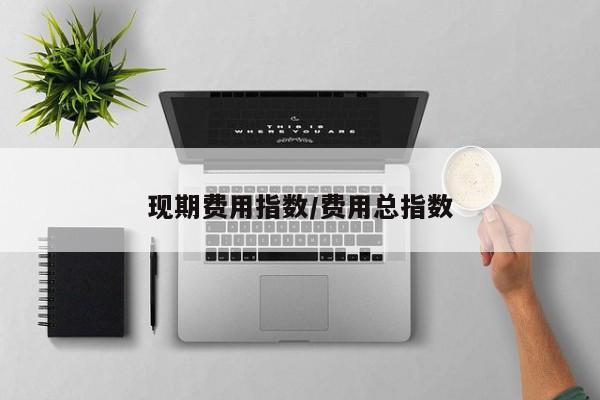 现期费用指数/费用总指数