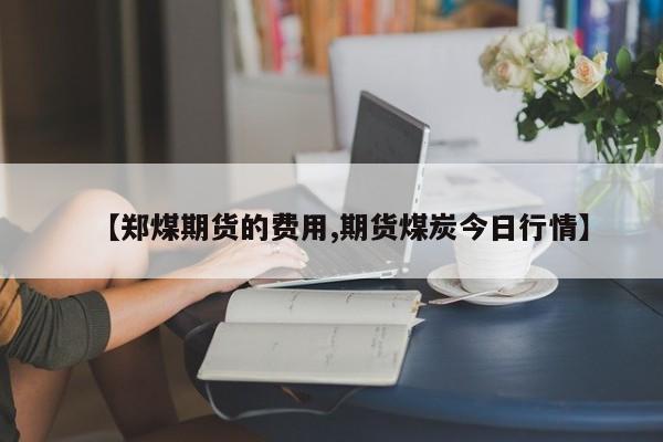 【郑煤期货的费用,期货煤炭今日行情】