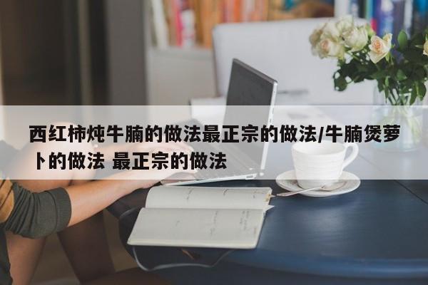 西红柿炖牛腩的做法最正宗的做法/牛腩煲萝卜的做法 最正宗的做法