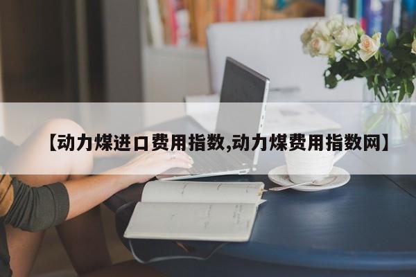 【动力煤进口费用指数,动力煤费用指数网】