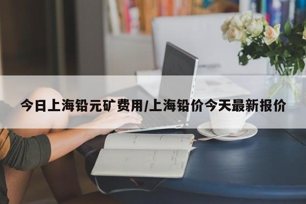 今日上海铅元矿费用/上海铅价今天最新报价