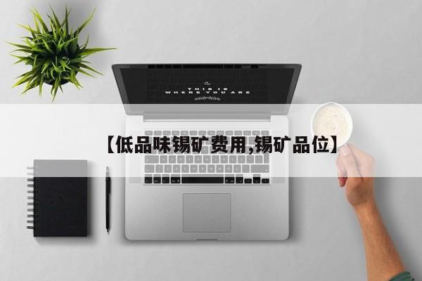 【低品味锡矿费用,锡矿品位】