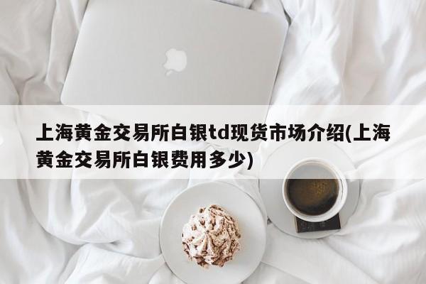 上海黄金交易所白银td现货市场介绍(上海黄金交易所白银费用多少)