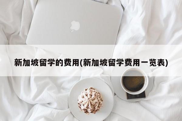 新加坡留学的费用(新加坡留学费用一览表)