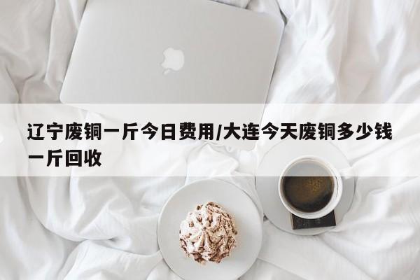 辽宁废铜一斤今日费用/大连今天废铜多少钱一斤回收