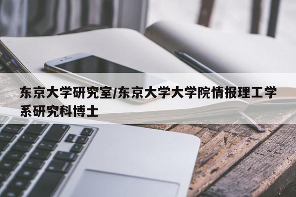 东京大学研究室/东京大学大学院情报理工学系研究科博士