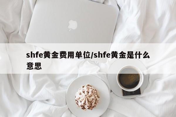 shfe黄金费用单位/shfe黄金是什么意思
