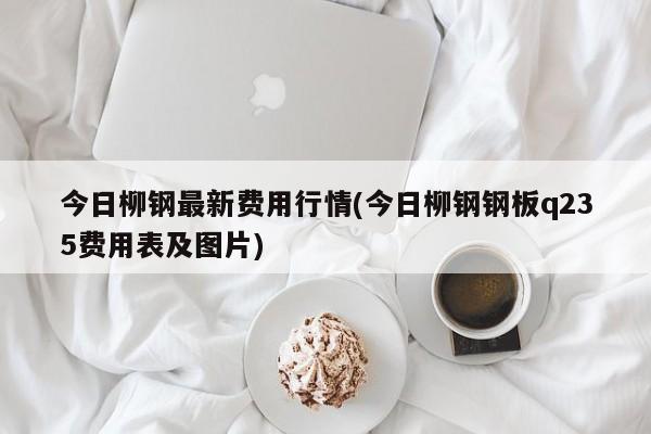 今日柳钢最新费用行情(今日柳钢钢板q235费用表及图片)