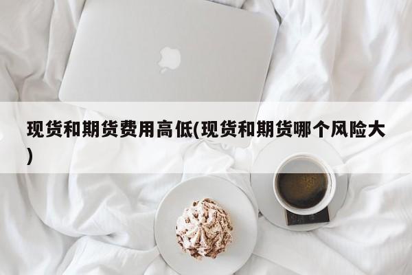 现货和期货费用高低(现货和期货哪个风险大)