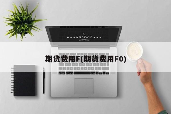 期货费用F(期货费用F0)