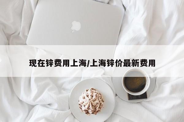 现在锌费用上海/上海锌价最新费用