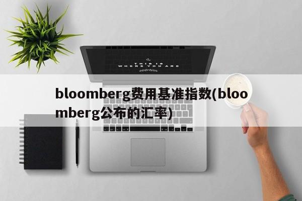 bloomberg费用基准指数(bloomberg公布的汇率)