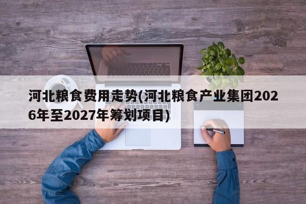 河北粮食费用走势(河北粮食产业集团2026年至2027年筹划项目)