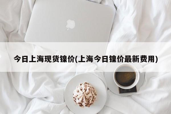 今日上海现货镍价(上海今日镍价最新费用)