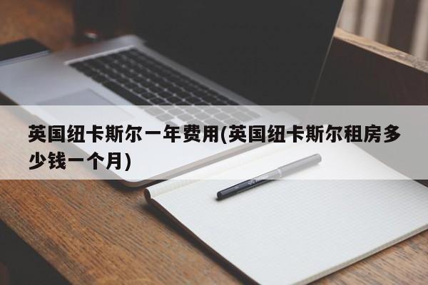 英国纽卡斯尔一年费用(英国纽卡斯尔租房多少钱一个月)
