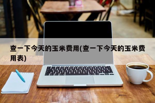 查一下今天的玉米费用(查一下今天的玉米费用表)