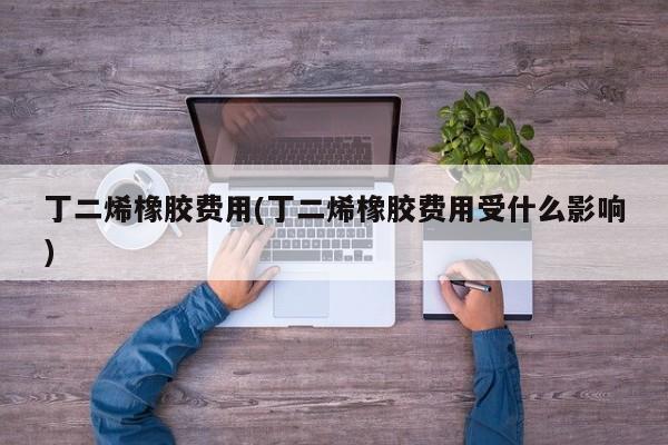 丁二烯橡胶费用(丁二烯橡胶费用受什么影响)