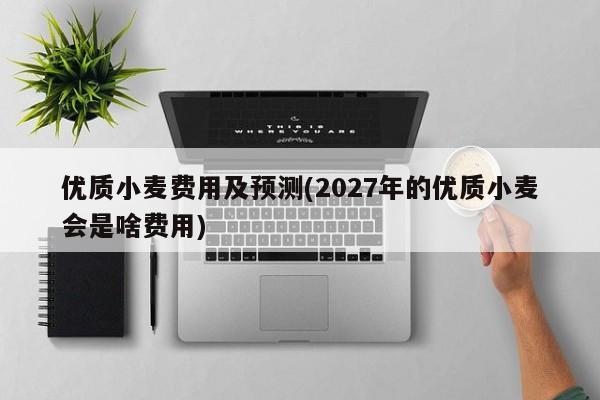 优质小麦费用及预测(2027年的优质小麦会是啥费用)