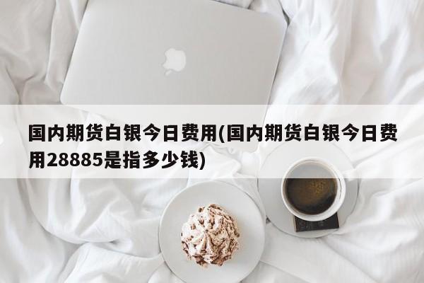 国内期货白银今日费用(国内期货白银今日费用28885是指多少钱)