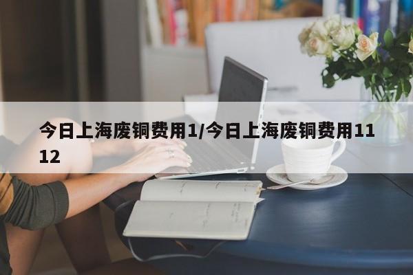 今日上海废铜费用1/今日上海废铜费用1112