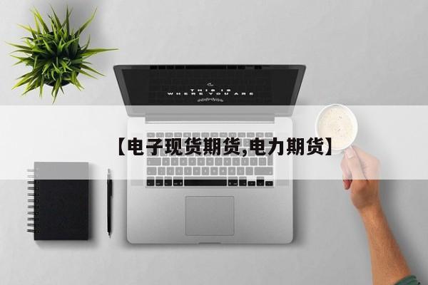 【电子现货期货,电力期货】