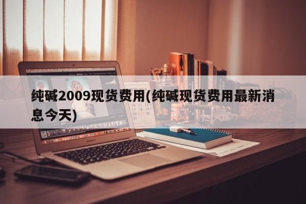 纯碱2009现货费用(纯碱现货费用最新消息今天)