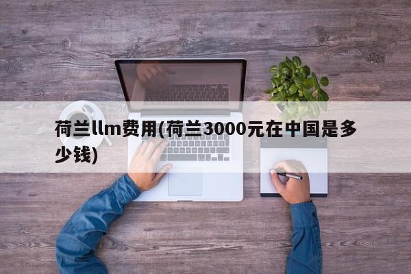 荷兰llm费用(荷兰3000元在中国是多少钱)