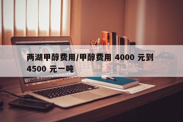 两湖甲醇费用/甲醇费用 4000 元到 4500 元一吨