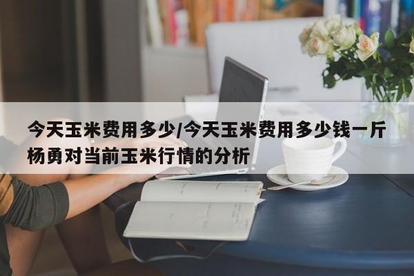今天玉米费用多少/今天玉米费用多少钱一斤杨勇对当前玉米行情的分析