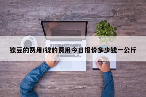 镍豆的费用/镍的费用今日报价多少钱一公斤