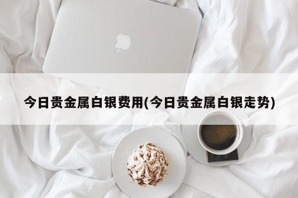 今日贵金属白银费用(今日贵金属白银走势)