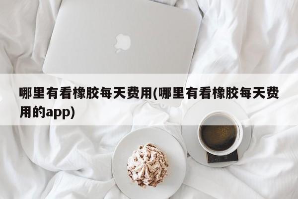 哪里有看橡胶每天费用(哪里有看橡胶每天费用的app)